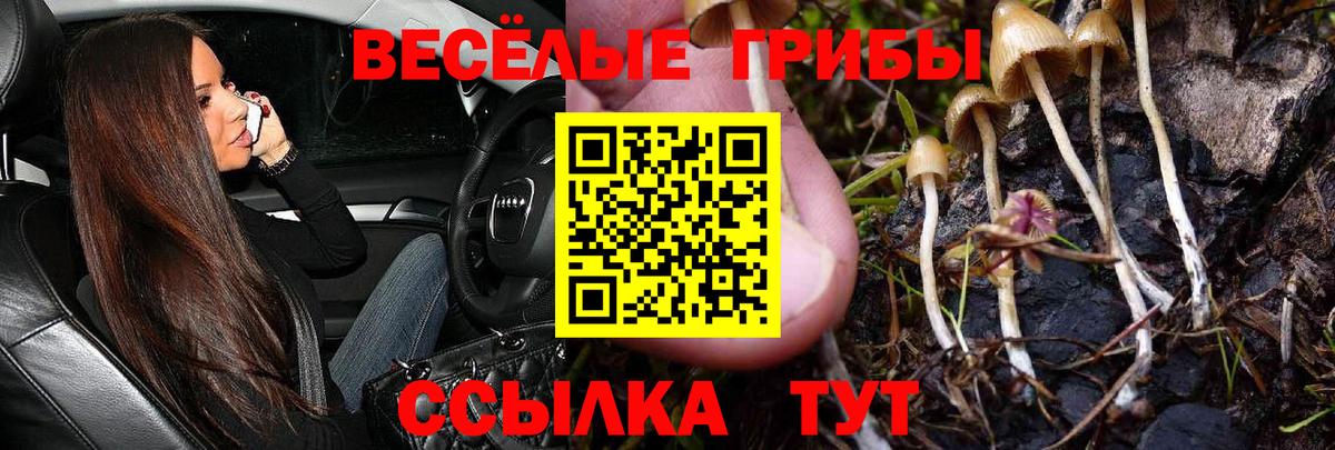 Псилоцибиновые грибы MAGIC MUSHROOMS  дарнет шоп  Джанкой  Вход с VPN  Псилоцибиновые грибы MAGIC MUSHROOMS 